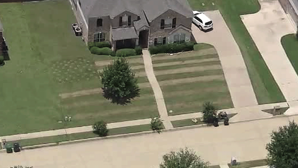 wptv-flag-mow-teen-.gif