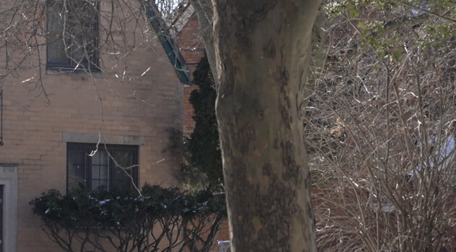 Screenshot 2025-12-24 at 9.42.48 PM.png