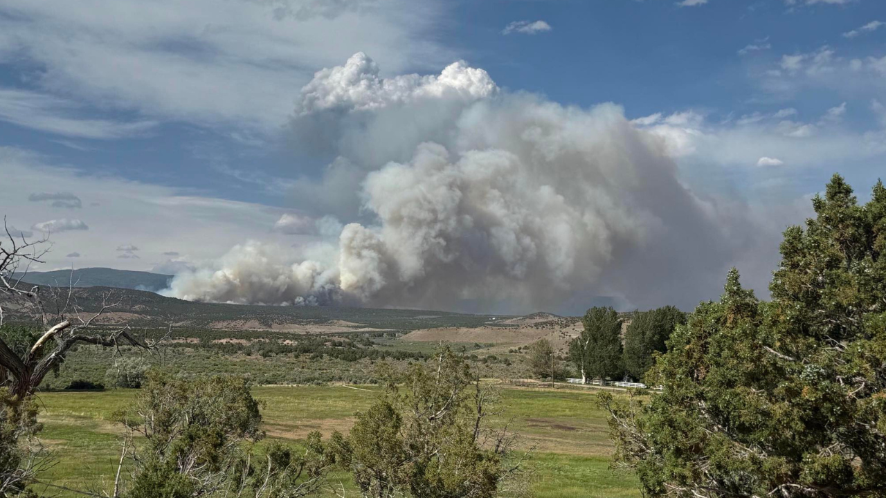 Big Draw Fire