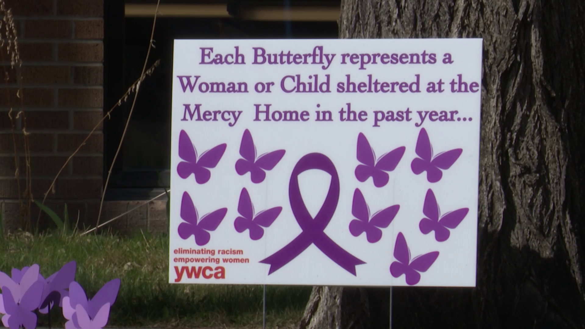 Purple foam butterflies on the lawn of the YWCA office in Great Falls