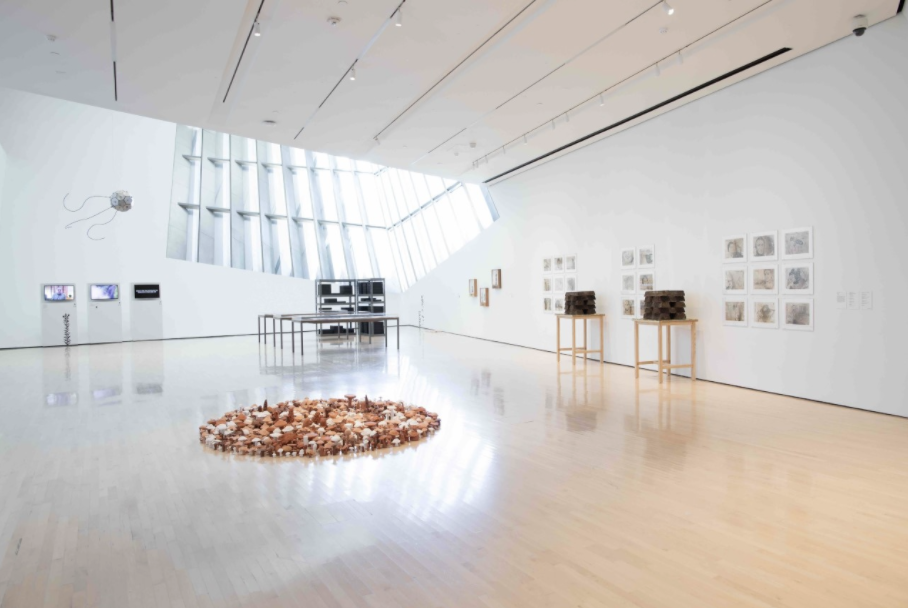 Seeds of Resistance Installation