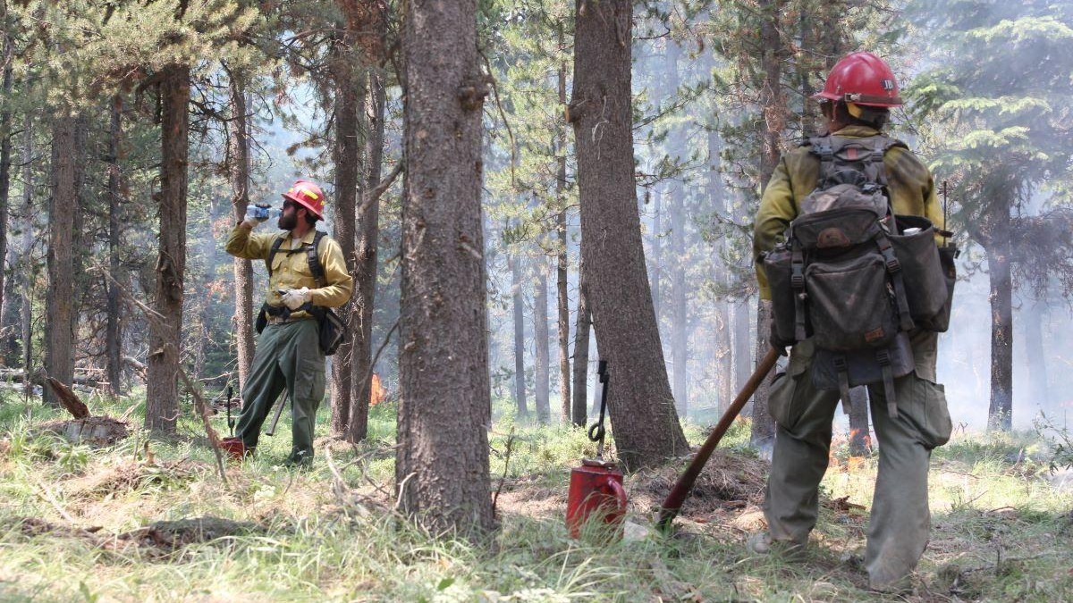 goose firefighters.jpg