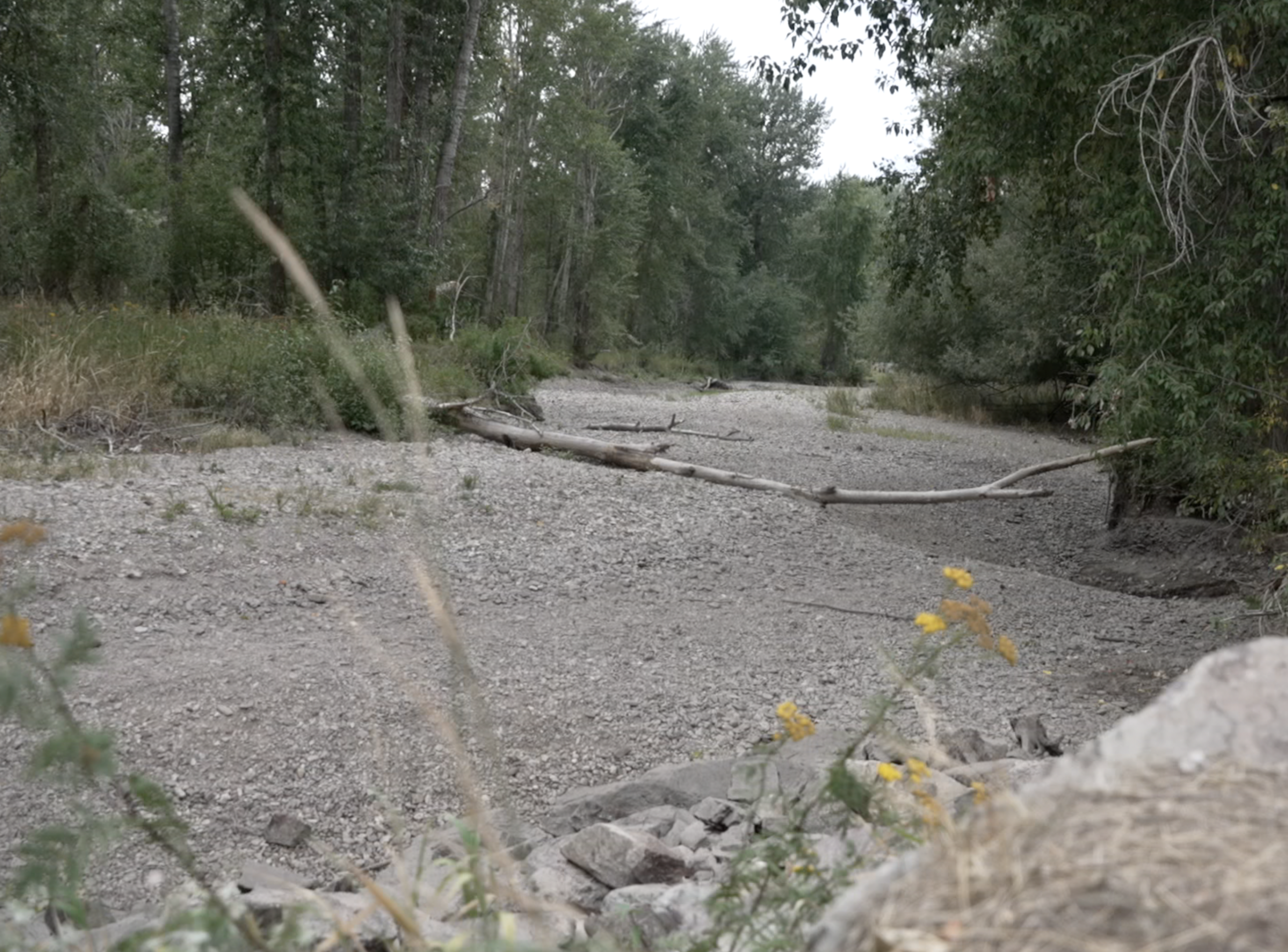 Lolo Creek Dry