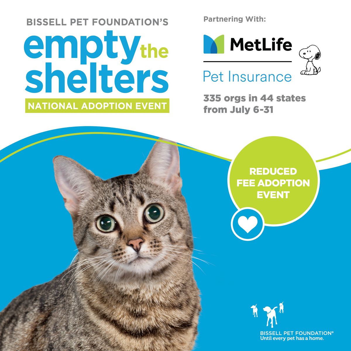 empty the shelters