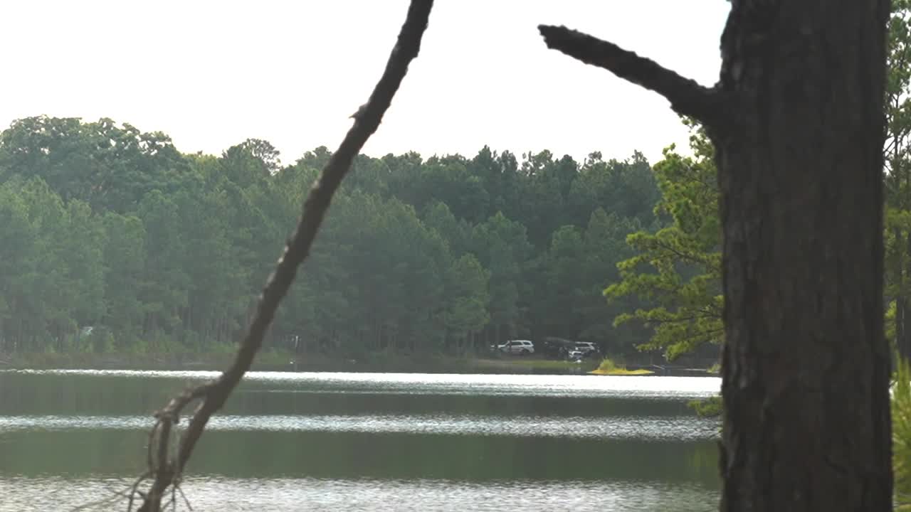 A 12-year-old boy and a 30-year-old woman died Sunday after drowning in a private pond in Chesterfield County. The investigation is ongoing.