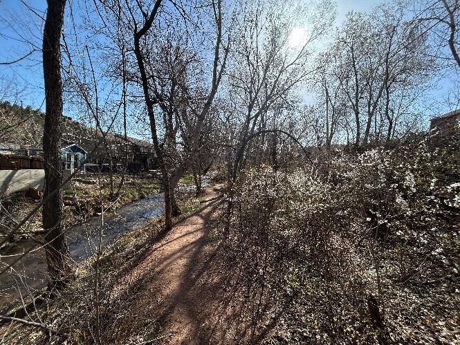 Creek Walk Trail