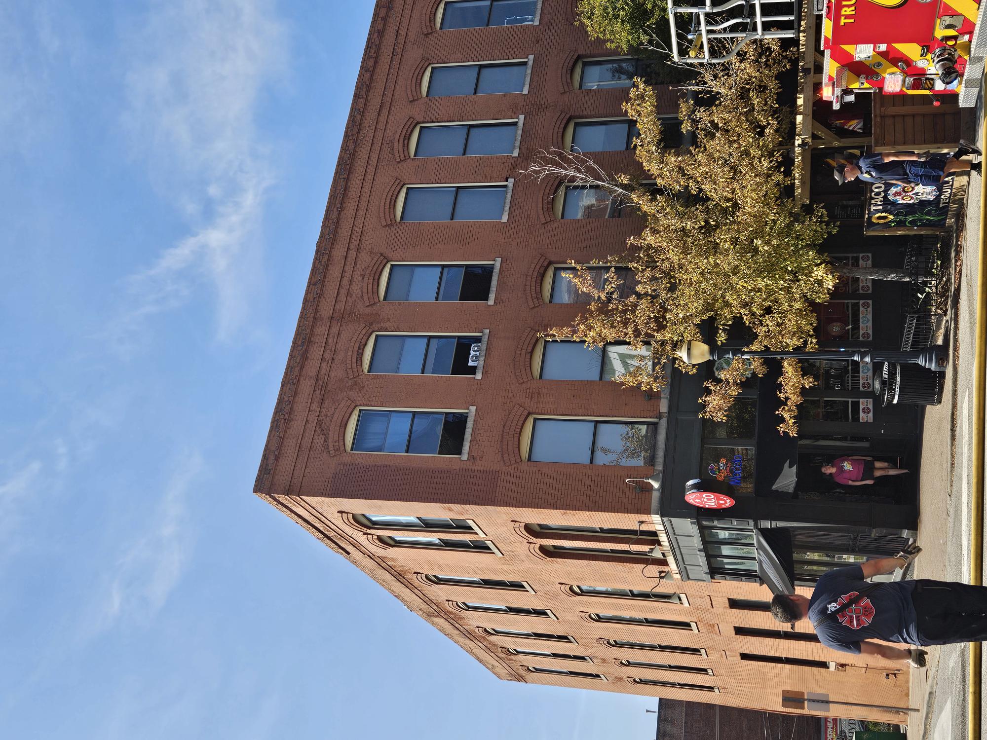 Bat102-Sept11- 500 walnut(2).jpg