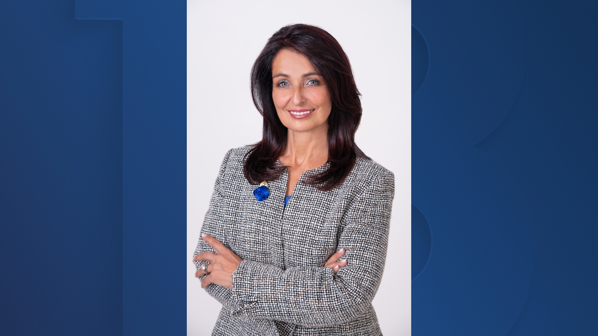 Donna Miller for Las Vegas Mayor 2024