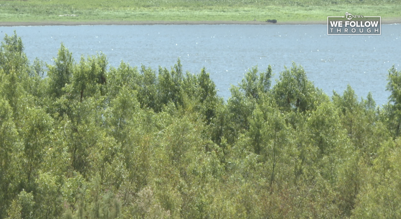 There's a growing concern for the brush surrounding Lake Hodges and the fire risk it could cause. 