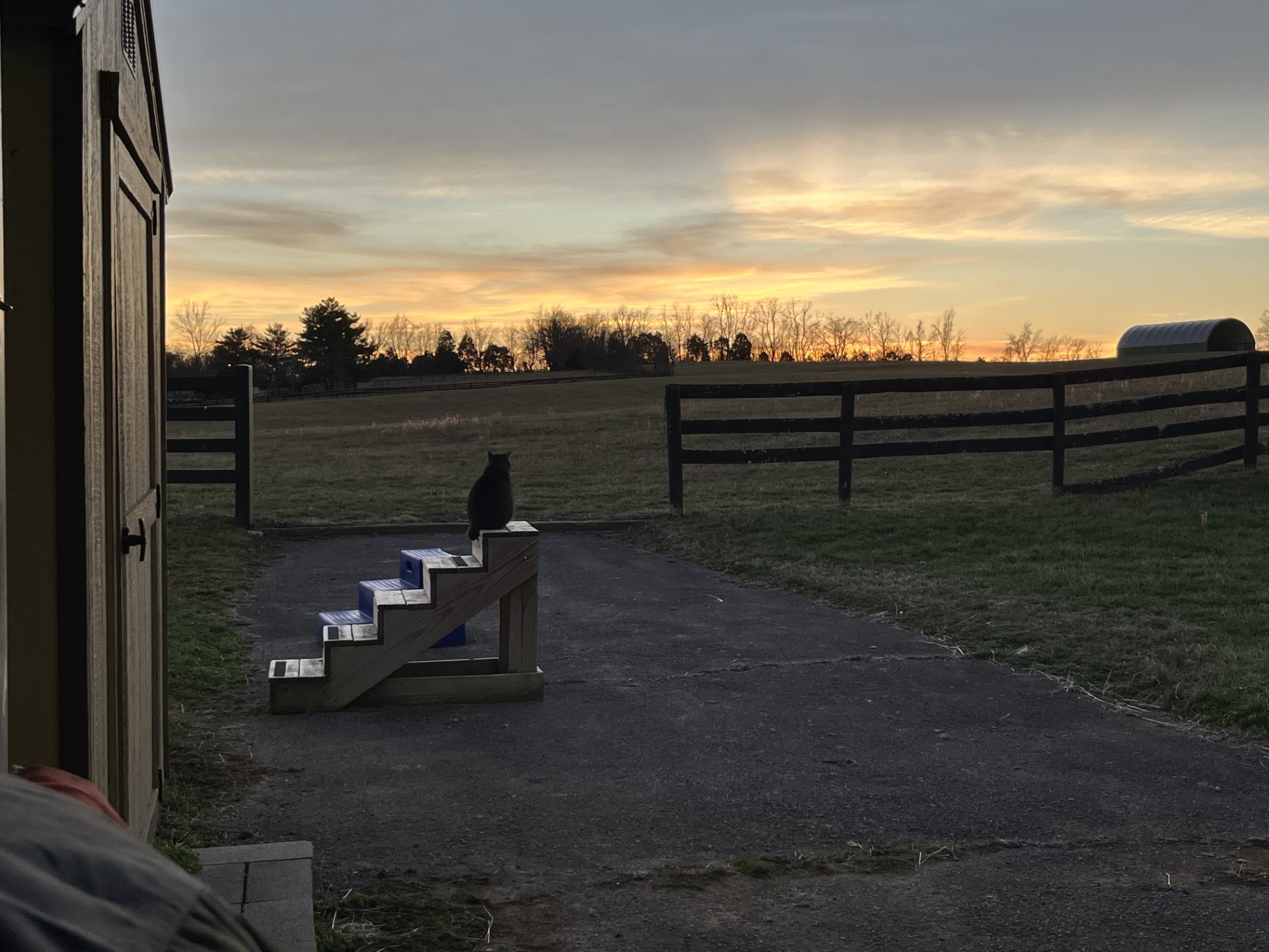 MUG SHOT 1-10-26 PEG KEELEY WILMORE (1).jpg