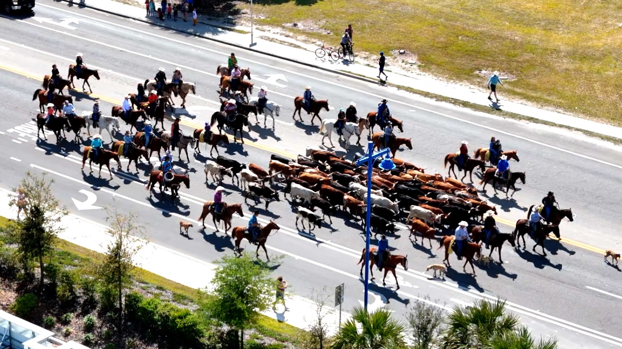 IMMOKALEE CATTLE DRIVE THUMBNAIL.jpg