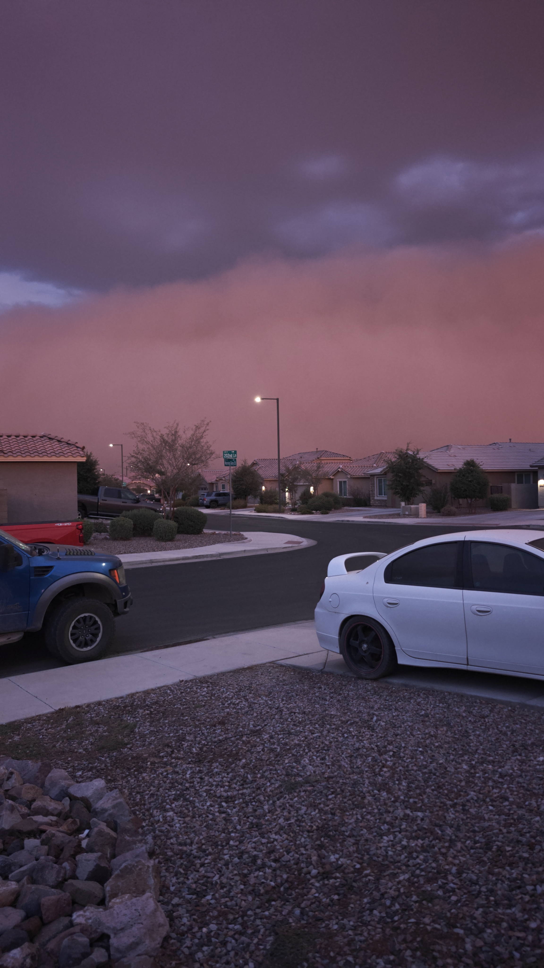 Dust Buckeye (2).jpg