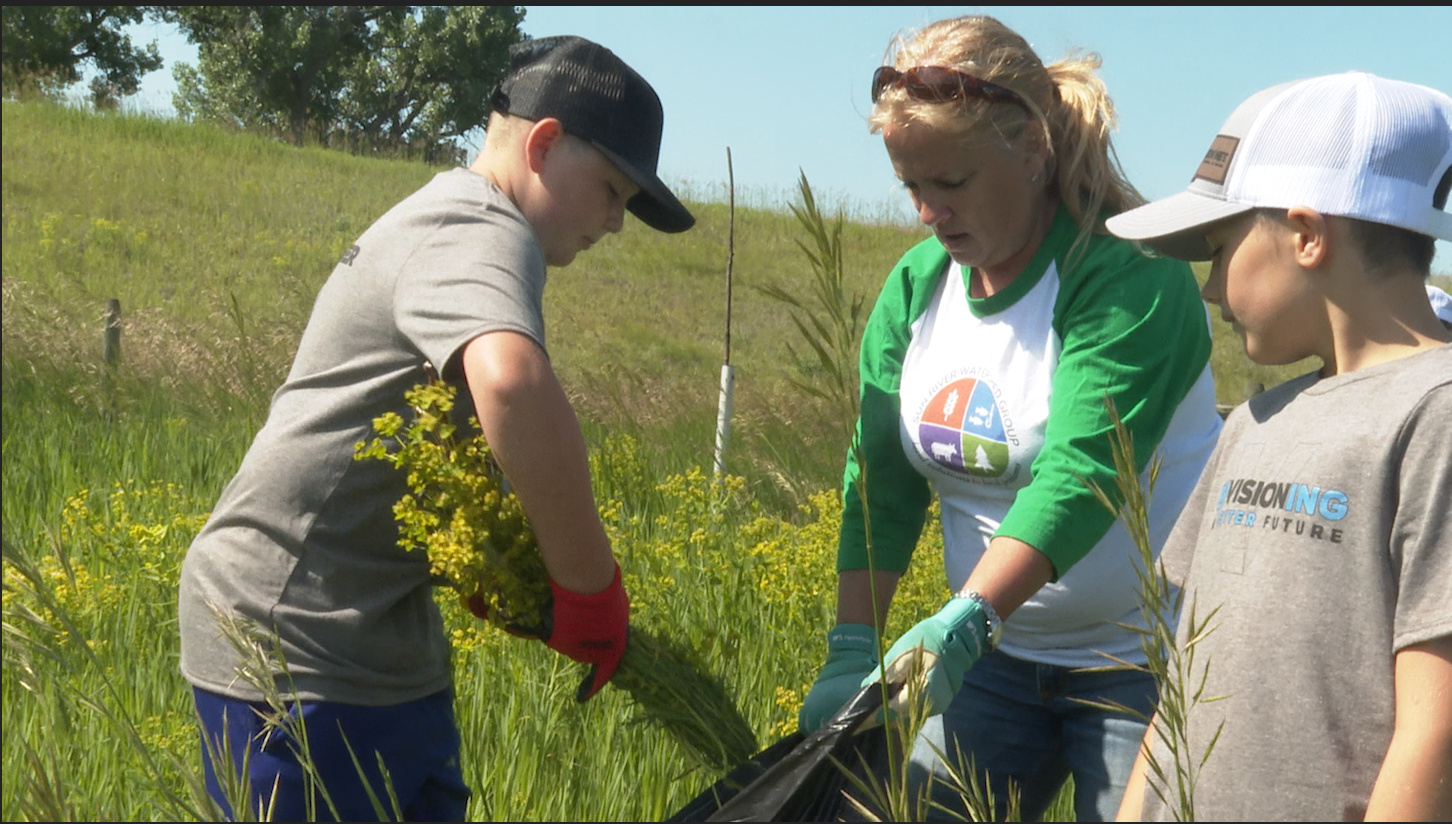 Volunteers cleaning Wadsworth Park.png