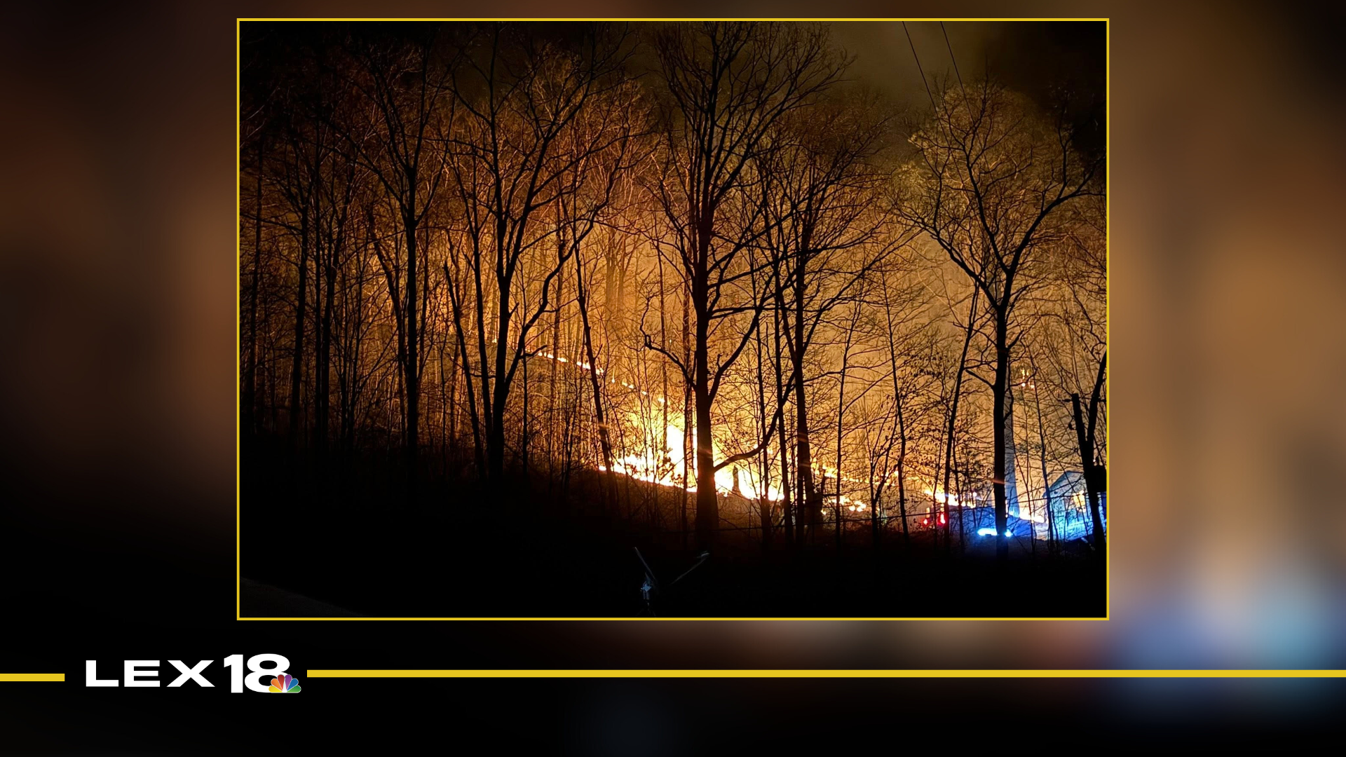 Inez Fire Rescue extinguishes forest fire