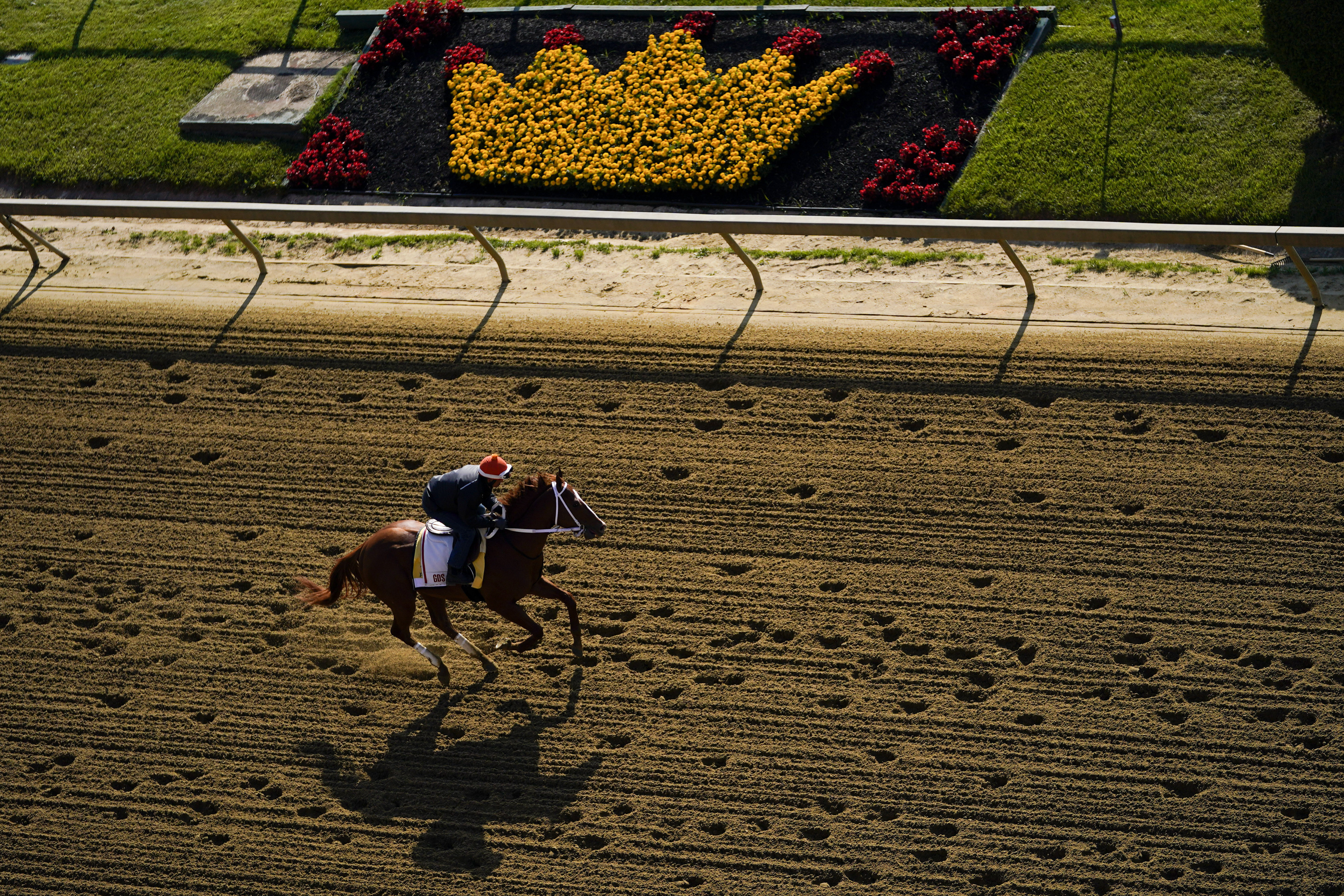 Preakness Horse Racing