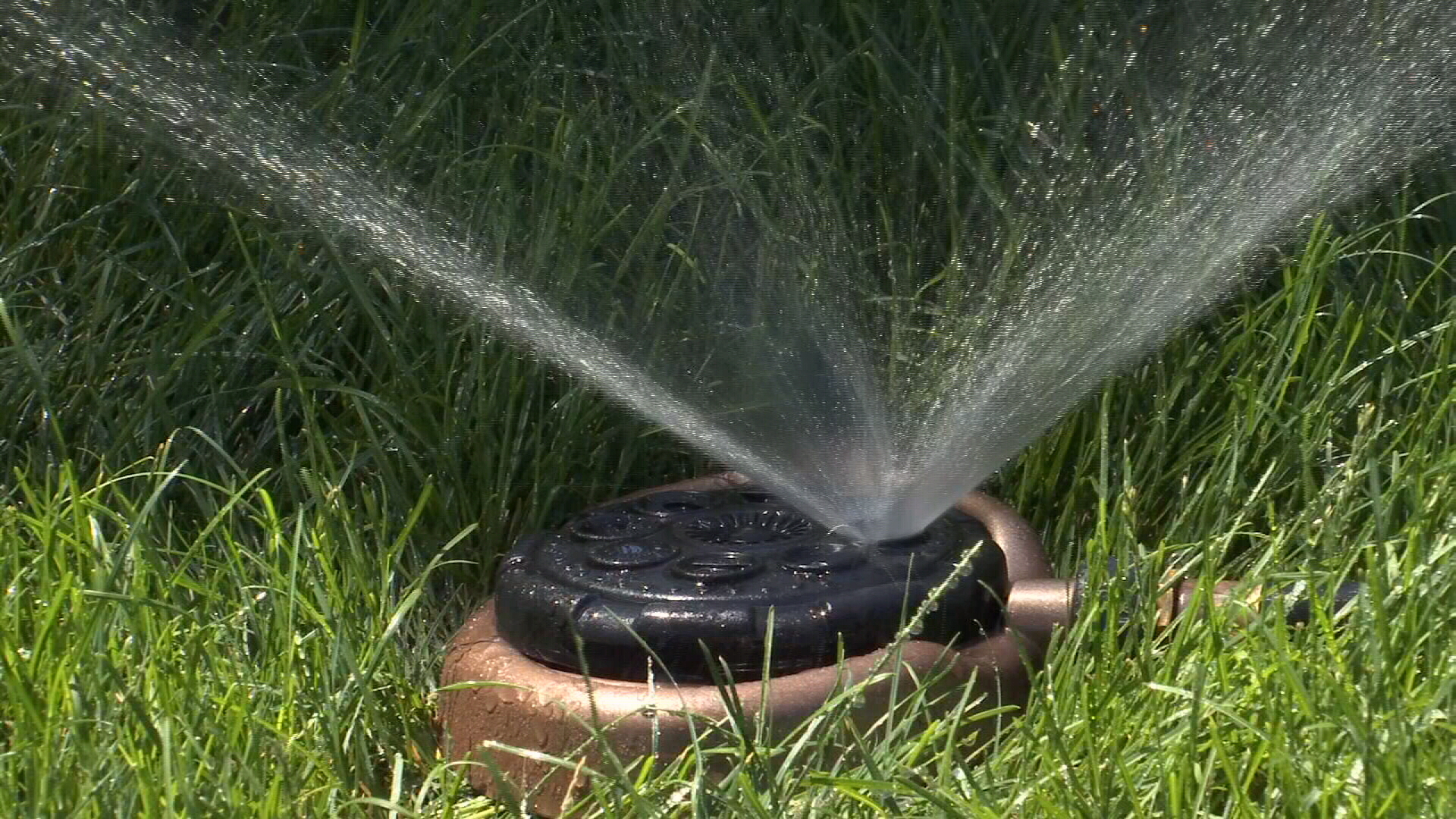 WATER PIC.jpg
