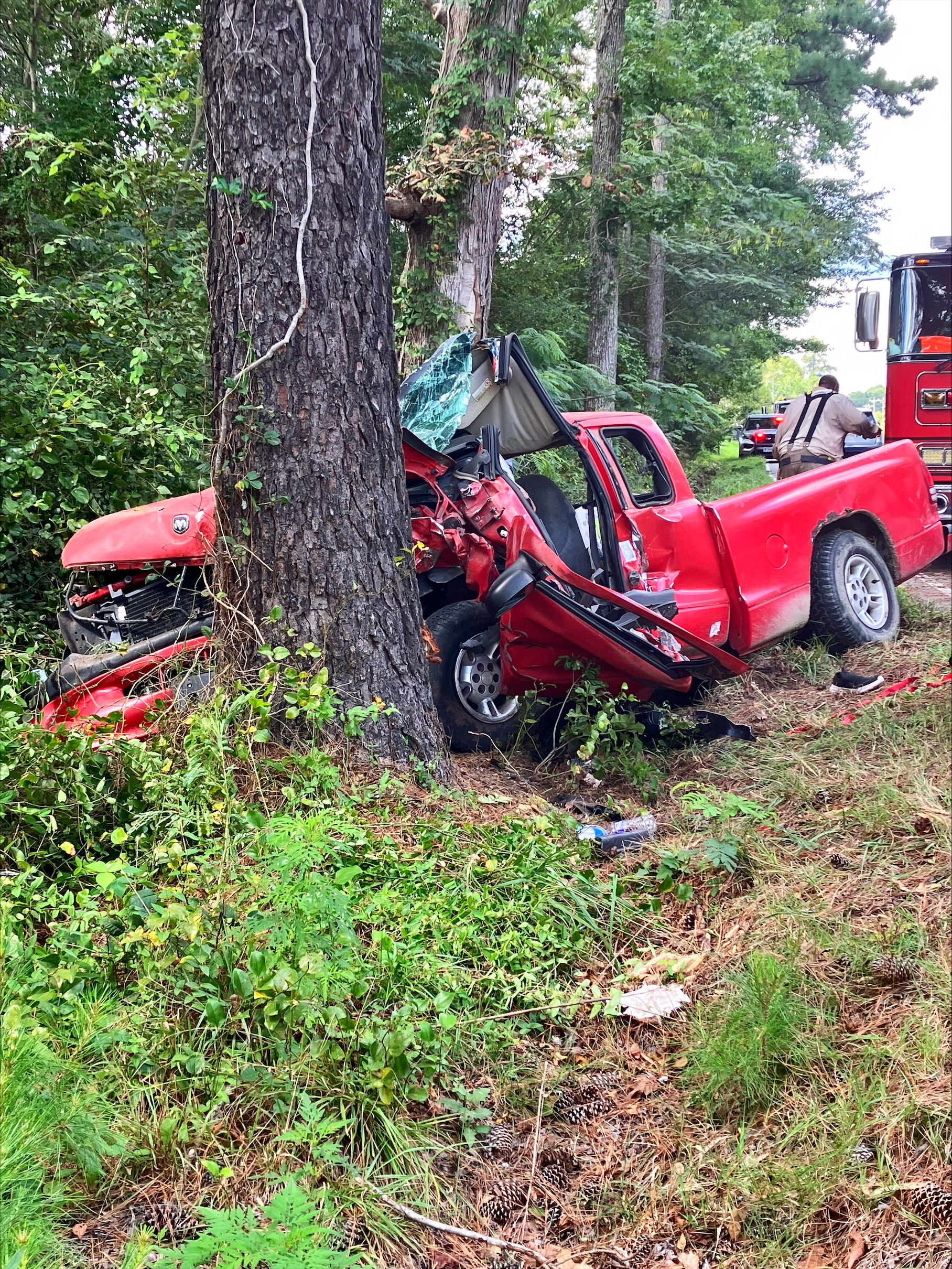 Fatal Sussex County Crash 