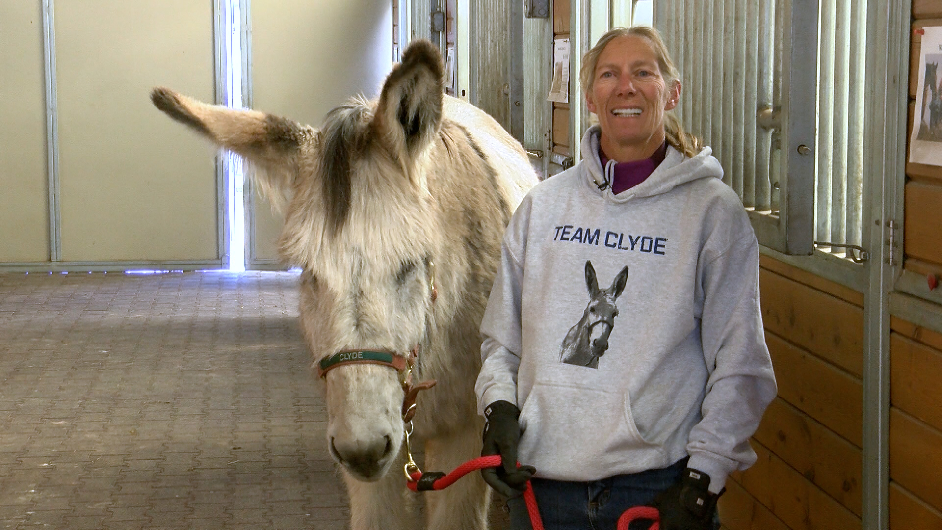 Clyde the donkey and Debbie Bibb