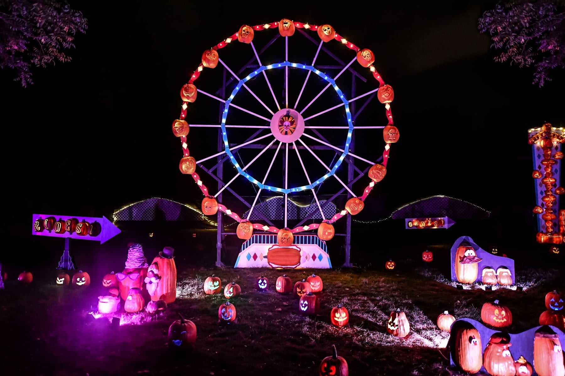 Jack O' Lanterns Unleashed
