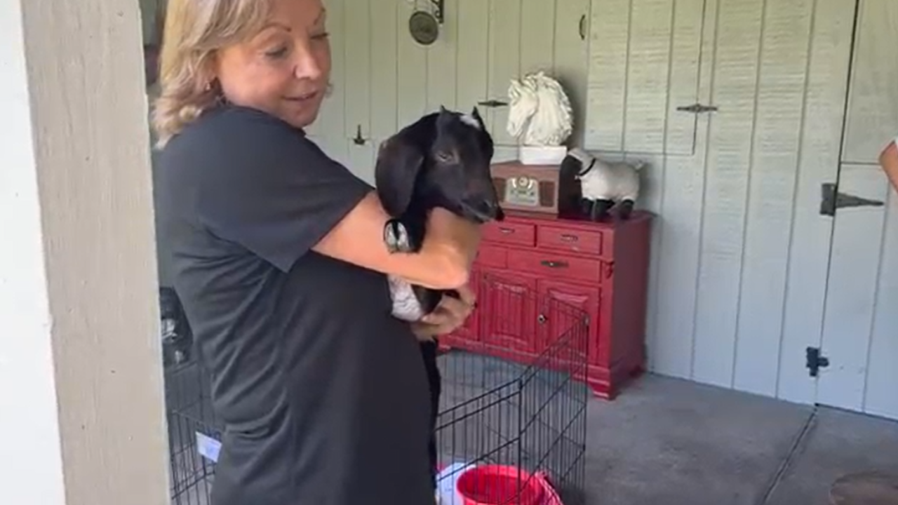 Ladybug Farm Sanctuary