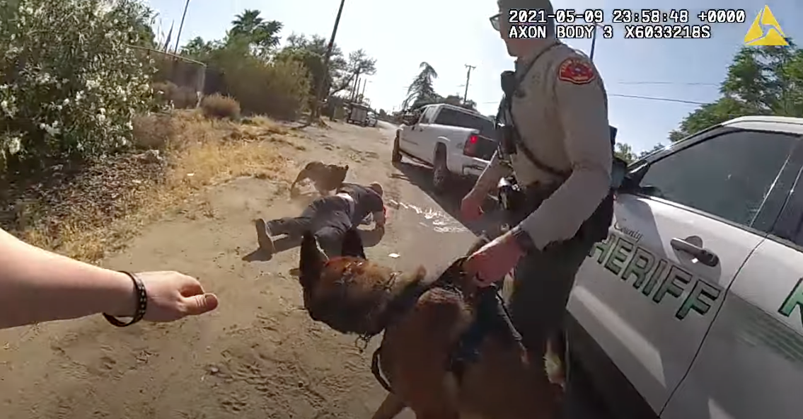 K-9 Accidently Released from Patrol Vehicle, July 15, 2021