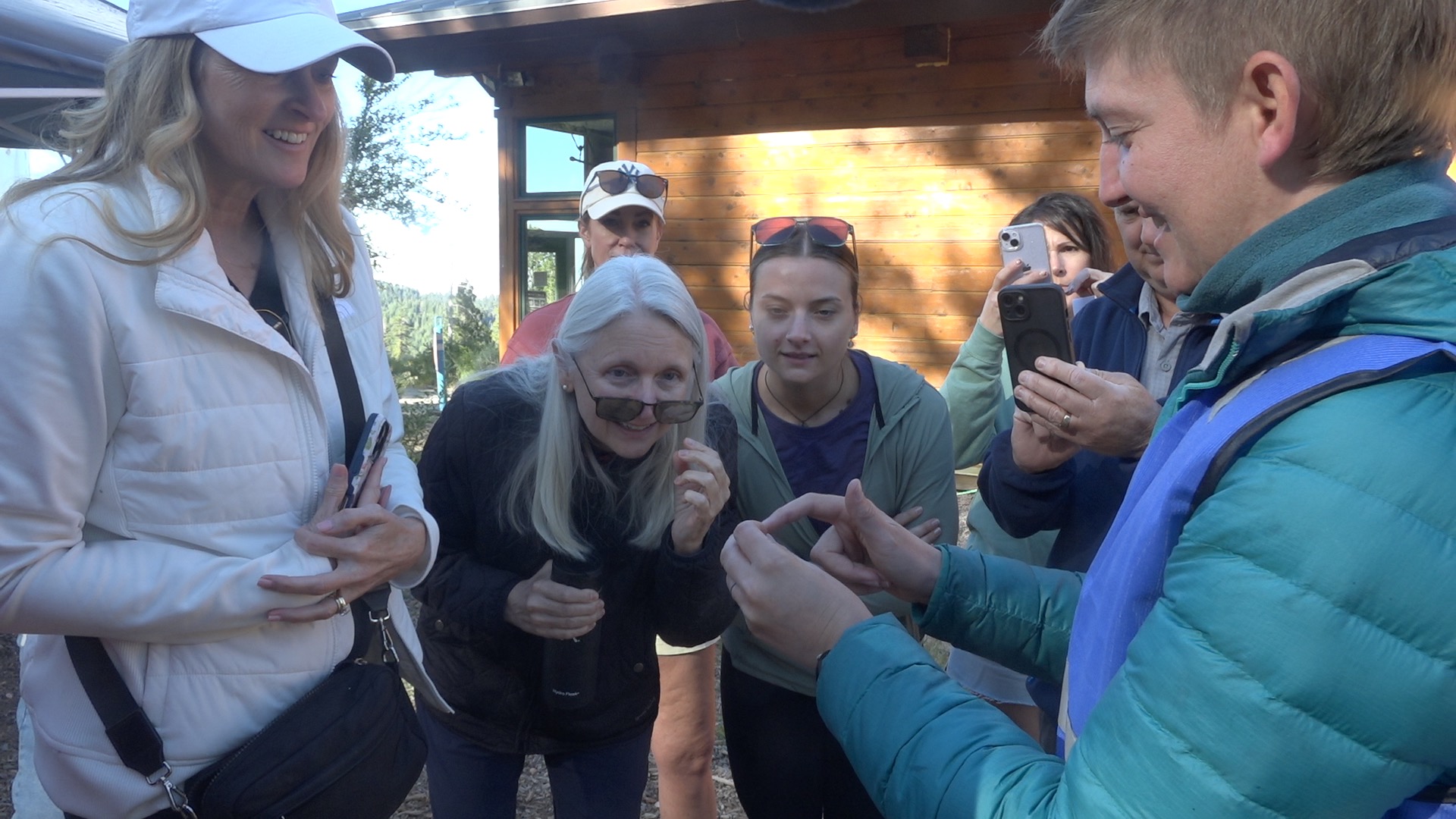 Hummingbird Banding