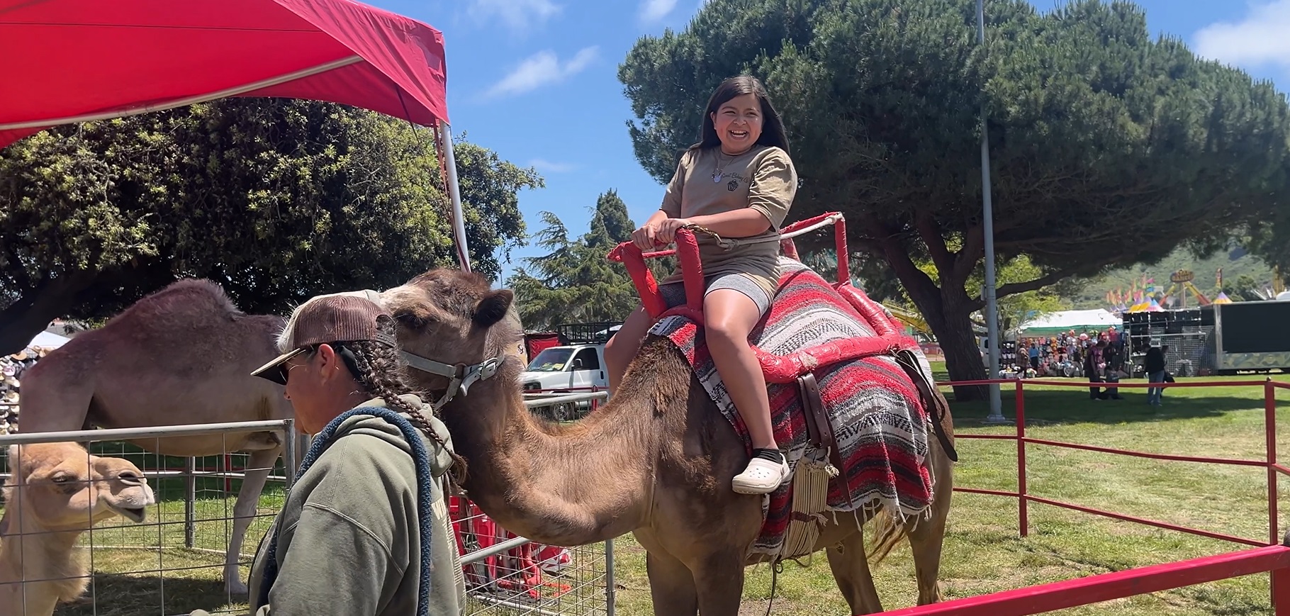 camel rides lompoc flower festival.jpg