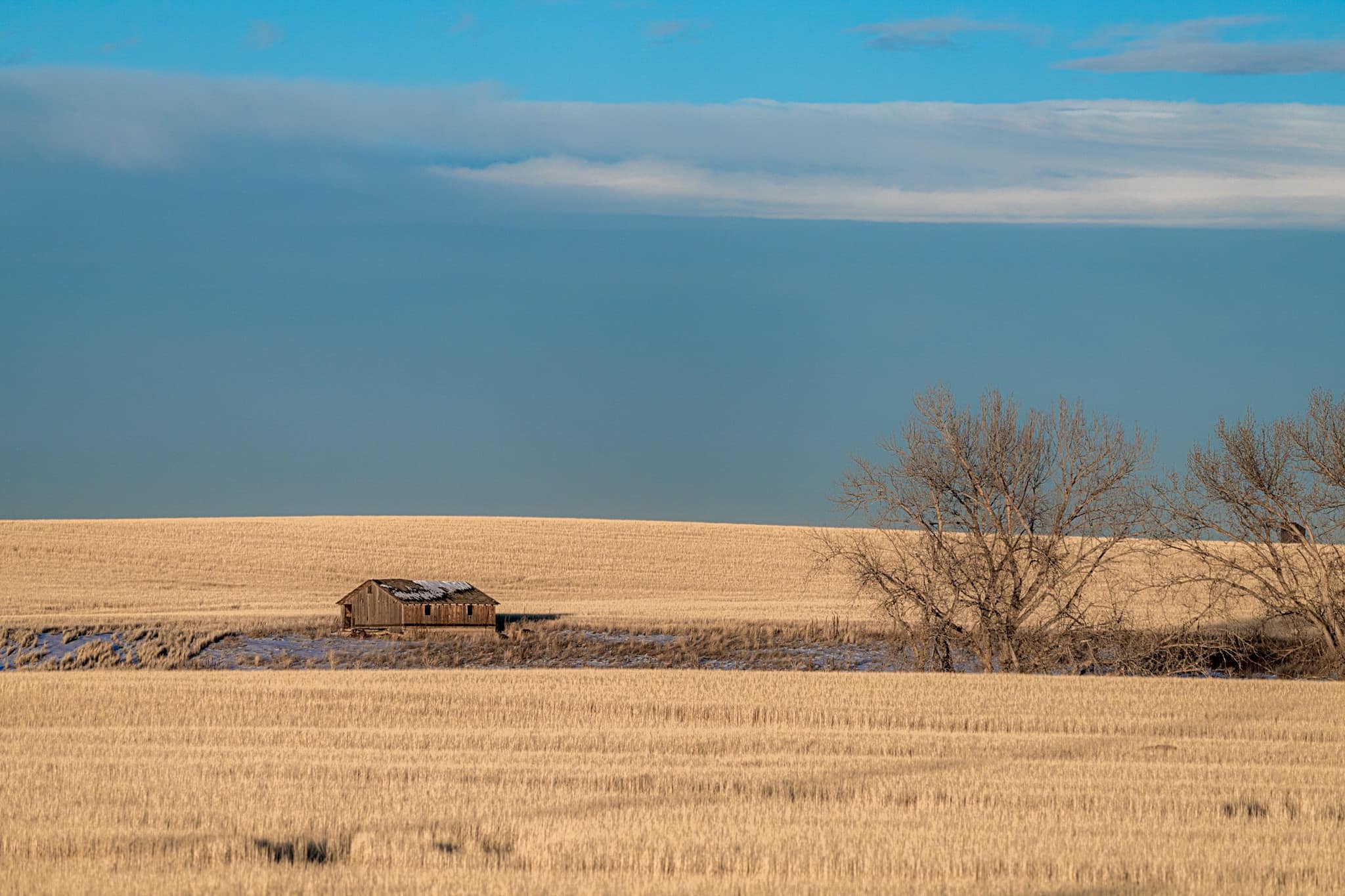 STEELE STREET PHOTOGRAPHY.jpg