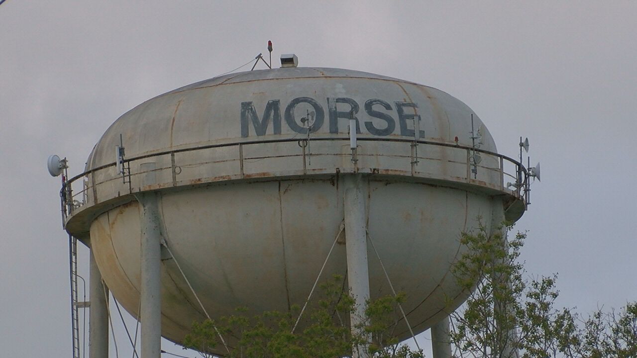 Morse