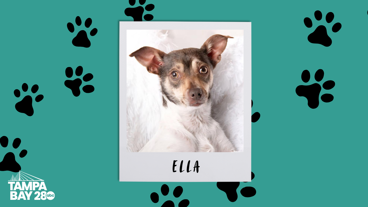 ella.png