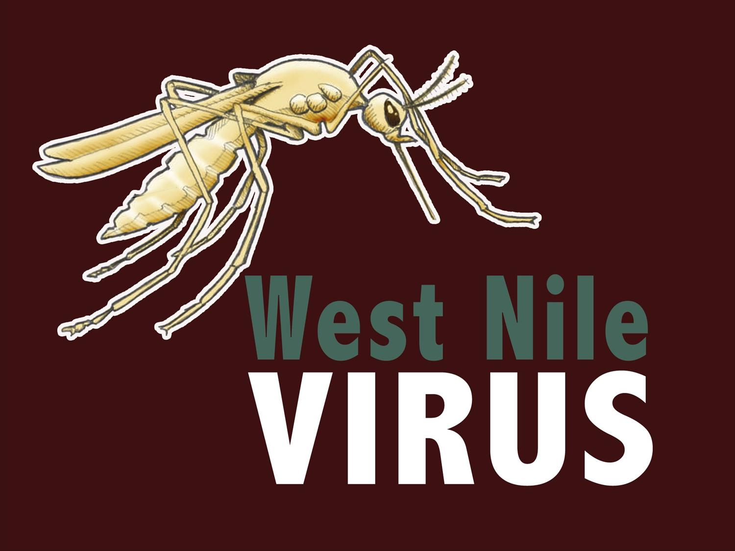 AP WEST NILE VIRUS