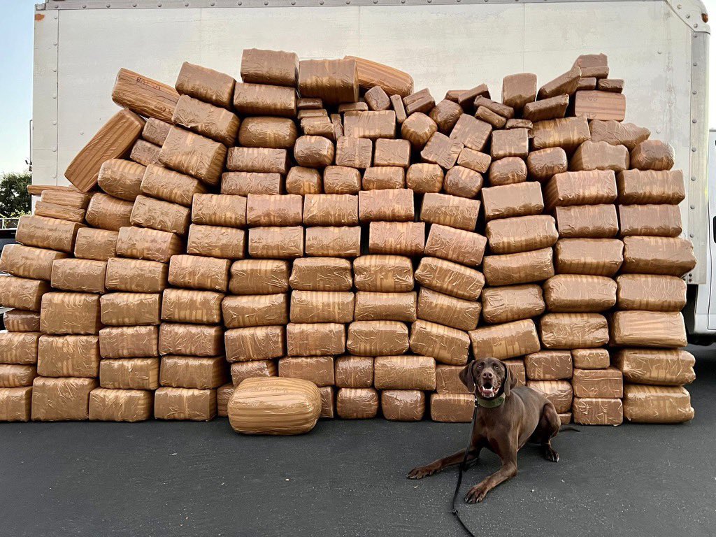 4 charged following one of the largest meth seizures in San Diego County