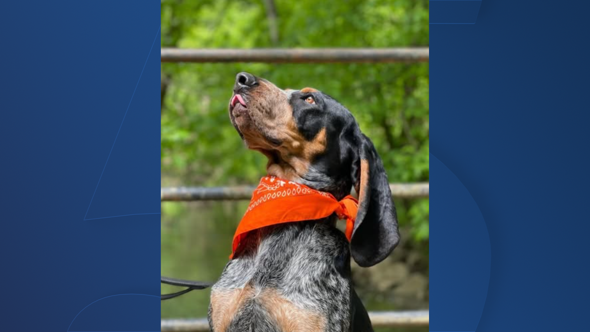 NC5 background USE THIS (63).png