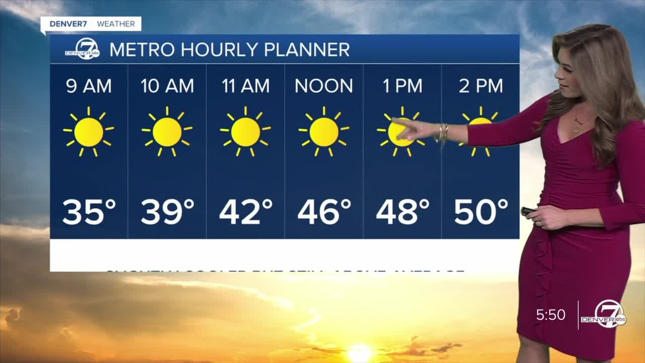 Denver Metro Hourly Planner