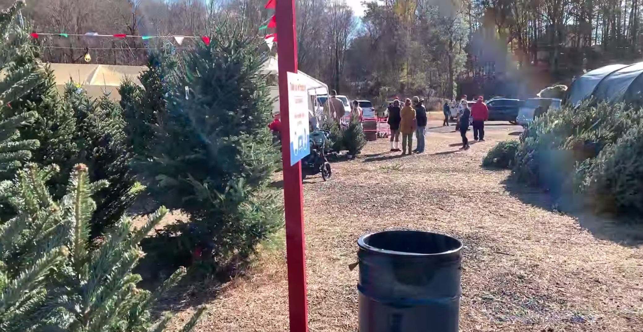 Last shipment of Christmas trees arrives at Chesterfield lot 