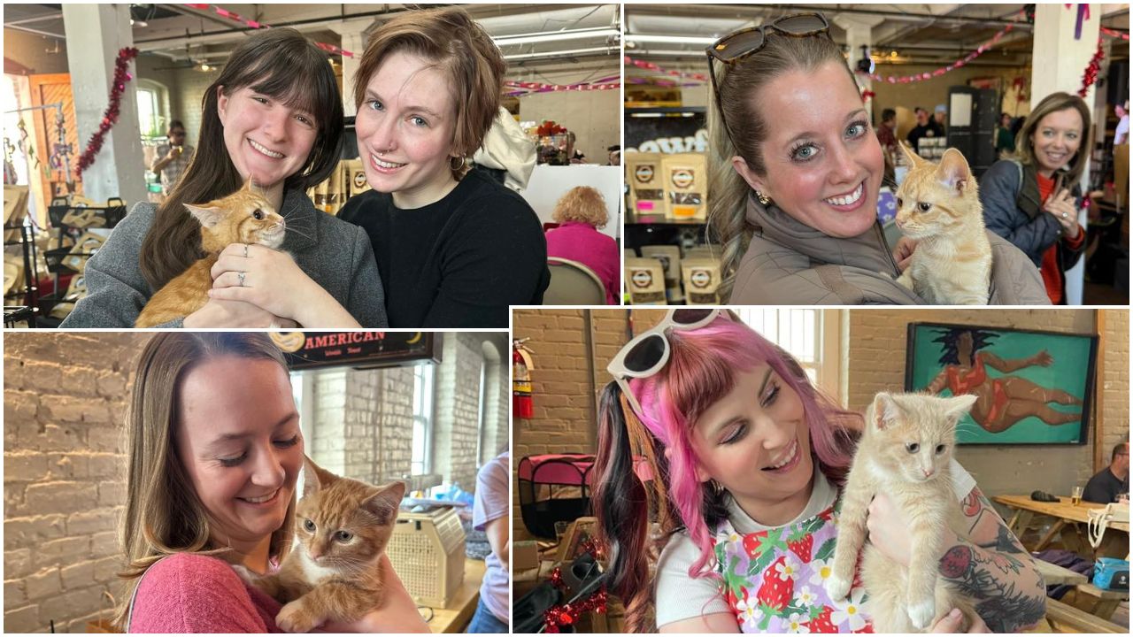 Cats find forever homes at Richmond Valentine's Day adoption event