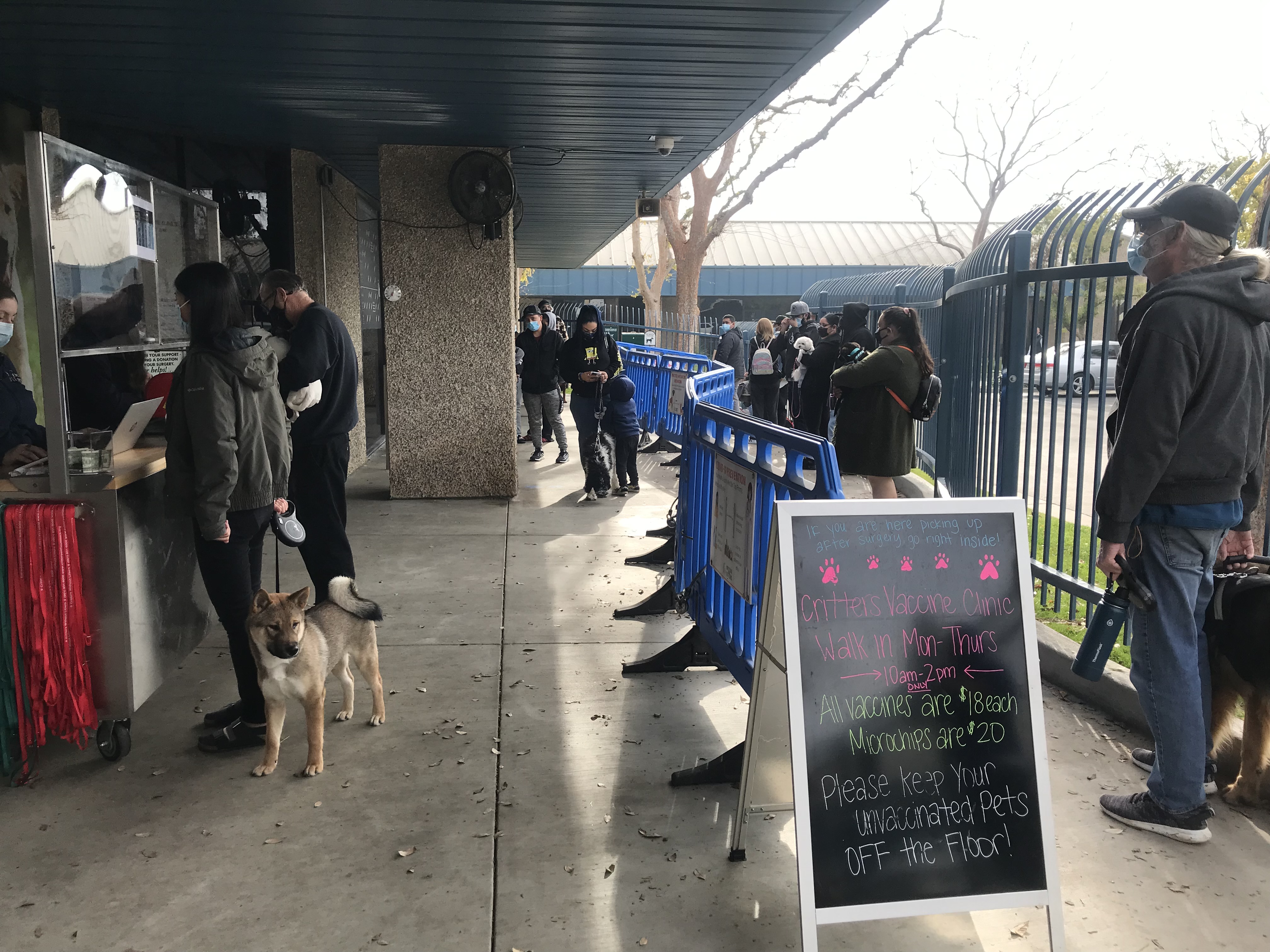 Critters Without Litters