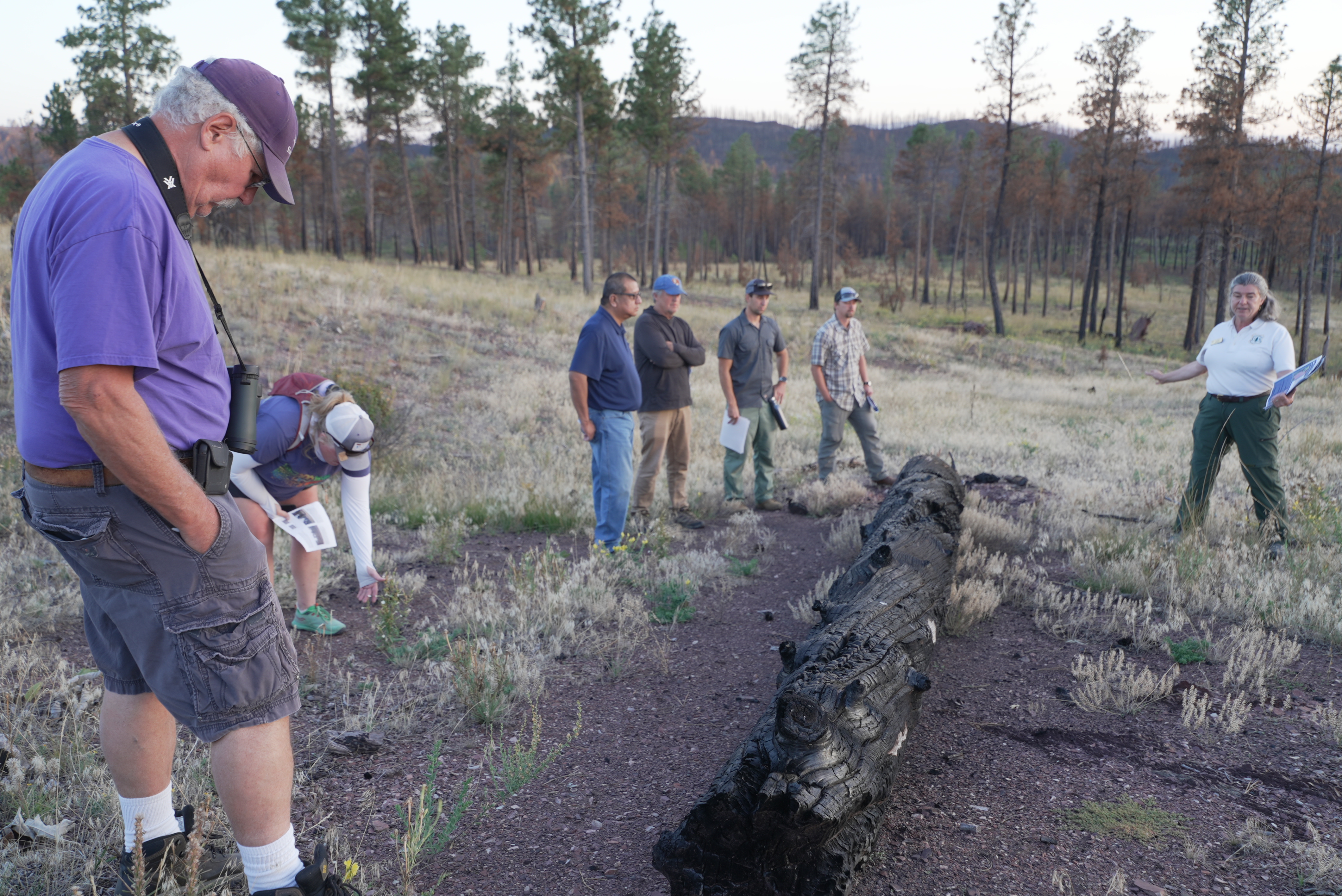 horse gulch tour