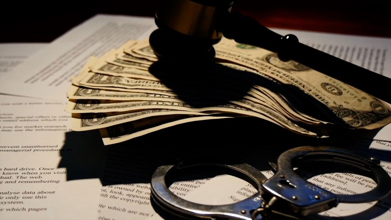 Former-Soaring-Paws-CEO-enters-guilty-plea-in-pet-insurance-fraud-case-WFTS-OCONNELL.jpg
