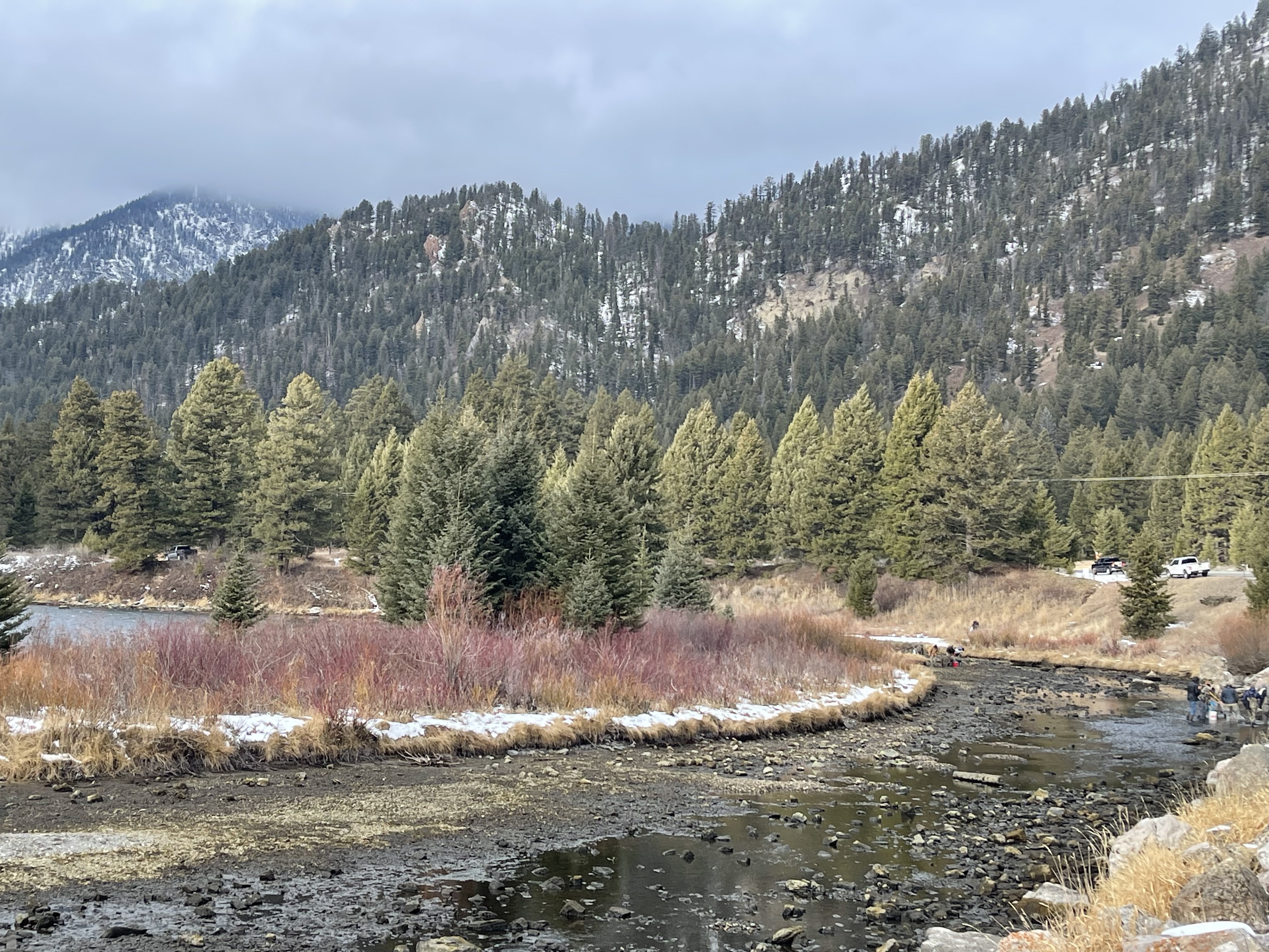 Madison River 4.jpg