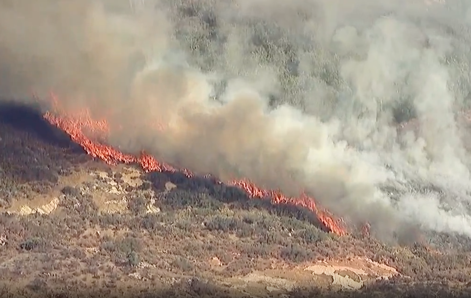 Dehesa fire.png