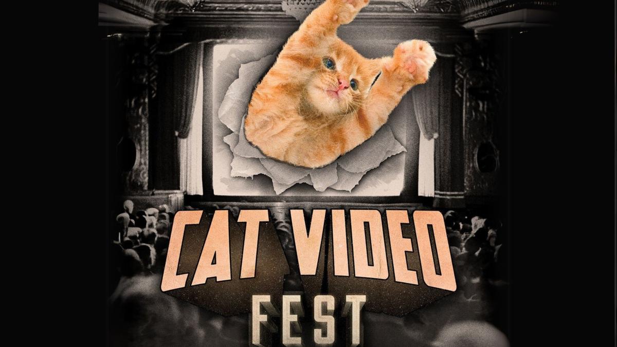 CatVideoFest