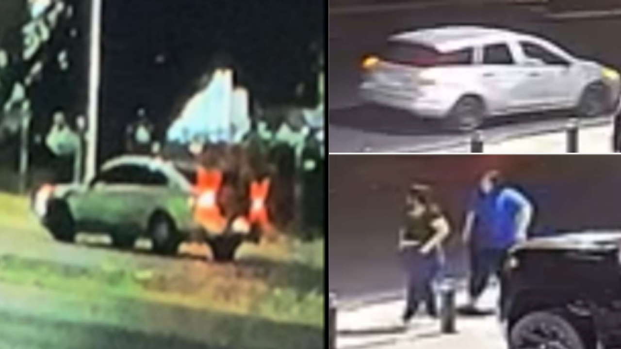 hit-and-run suspects