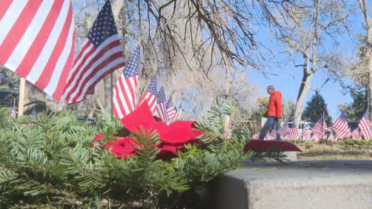 Evergreen wreaths.jpg