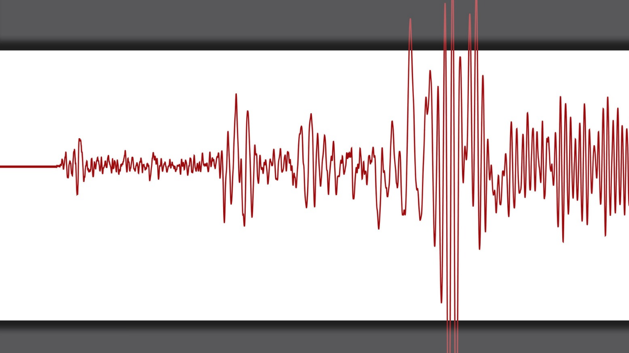 Earthquake Seismometer