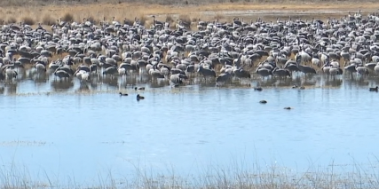 Governor Katie Hobbs announced the designation of the Willcox Groundwater Basin as Arizona’s newest Active Management Area, aiming to protect rural groundwater supplies and ensure sustainability.