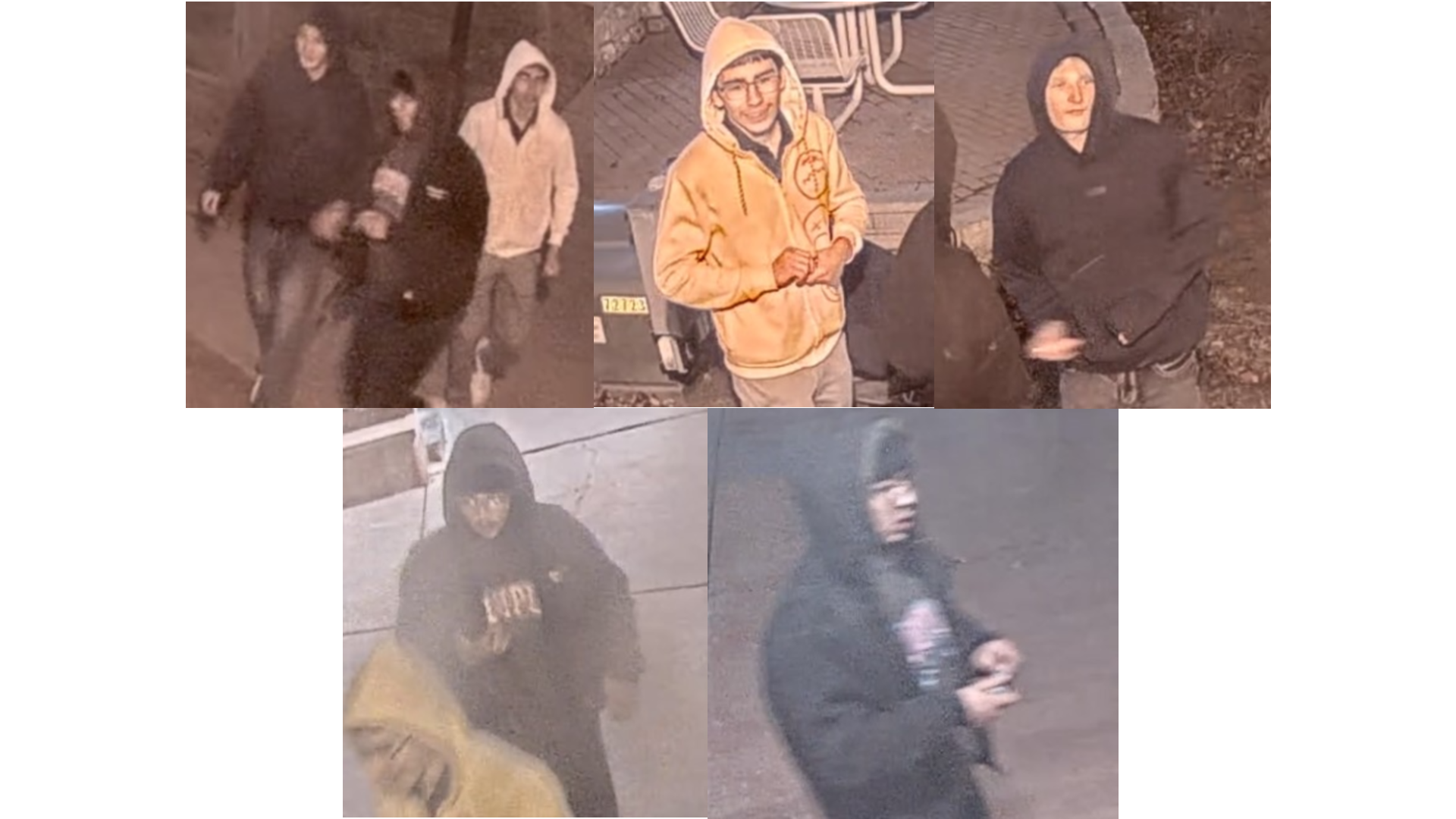 PPD Property Damages.png