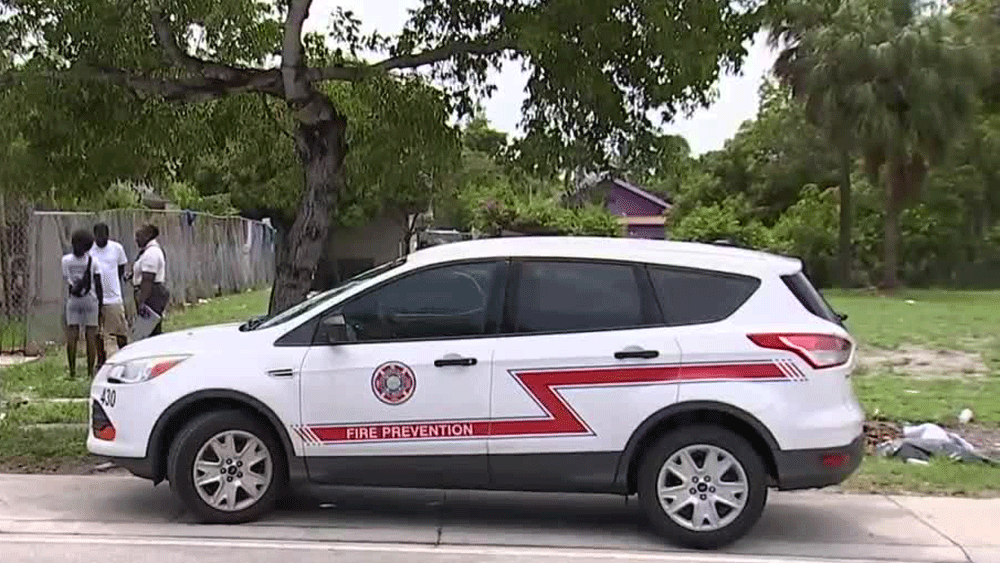 wptv-firework-explosion-.gif