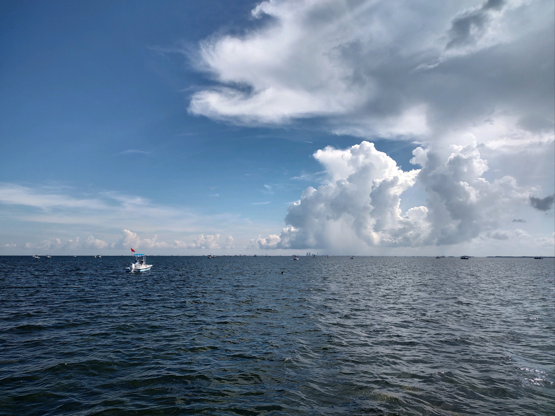 Citrus County scalloping