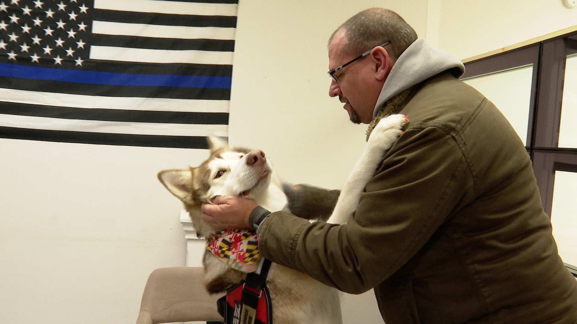 Victory Service Dogs helps veterans by training animals.jpg